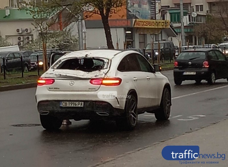 Пловдивчанката, чиято кола бе смазана от дърво, осъди Общината за над 15 000 лева