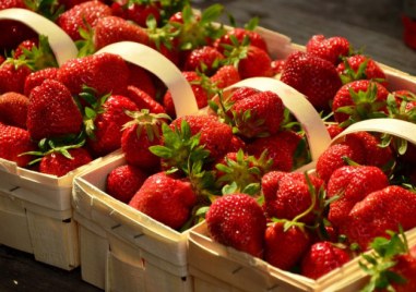 Фестивал на ягодата с много забавления ще има в Кричим