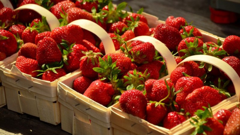Фестивал на ягодата с много забавления ще има в Кричим