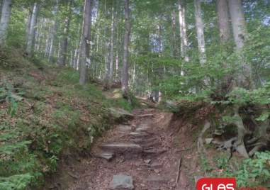 Приказна разходка край Пловдив: Родопска пътека показва красотата на гората