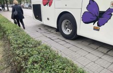 avtobusi-manevriraha-po-trotoar-plovdiv-391.jpg