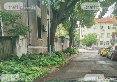 Пешеходна зона, но не съвсем: Пловдивчани в борба с тротоар в центъра на града