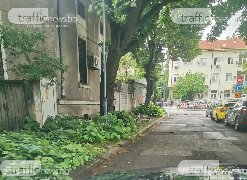 Пешеходна зона, но не съвсем: Пловдивчани в борба с тротоар в центъра на града