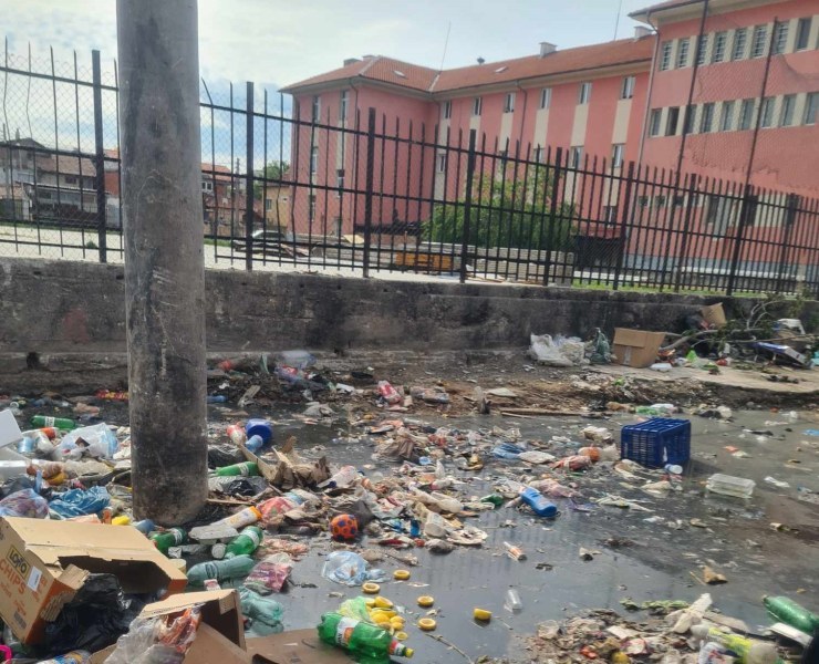 Вход на училище в Пловдив тъне в боклуци