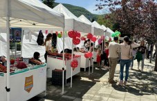goliam-interes-festivala-iagodata-467-201.jpg