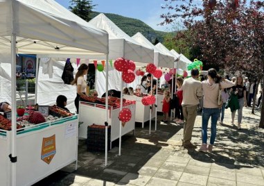 Голям интерес на Фестивала на ягодата в Кричим