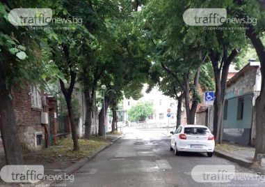 След публикация на TrafficNews: Почистиха обраслия тротоар, създал неудобство на пловдивчани