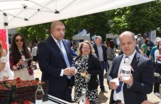 Фестивалът на ягодата в Кричим завърши с атрактивни конкурси