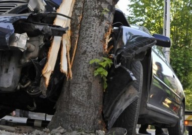 Кола се заби в дърво в Асеновград, шофьорът е в болница
