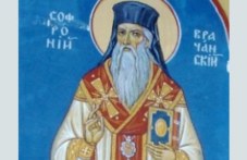 svetite-prepodobni-nikita-i-sofronii-880.jpg
