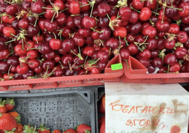 Слаба реколта на ранните череши в Пловдивско заради лошото време