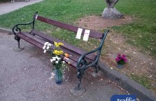plovdivski-detsa-pochit-kam-yanko-201-602.jpg