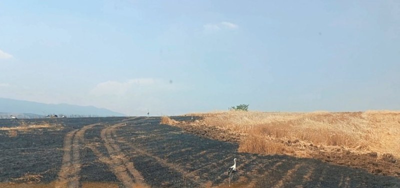 Голям пожар избухна край Пещера