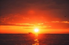 na-tozi-den-otbeliazvame-dzhulai-morning-771.jpg