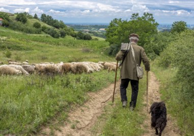 60 годишен пастир почина в планината над Сопот