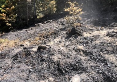 Пожар бушува в подножието на Сърнена Средна гора