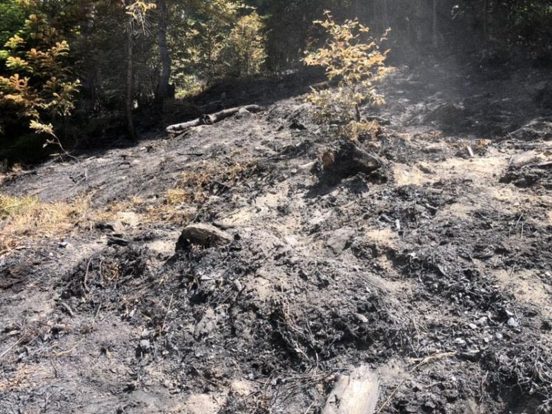 Пожар бушува в подножието на Сърнена Средна гора