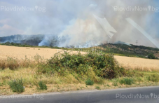 Призовават военните да се включат в потушаване на огнената стихия в Пловдивско
