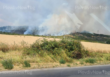 Четири пожара на голям фронт горят в Брезовско, Калояновско и край Хисаря