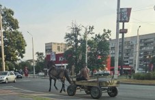 Мъж шпори с каруца в насрещното на кръгово в Пловдив
