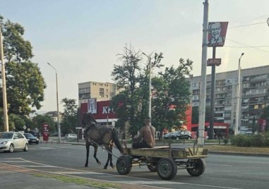 Мъж шпори с каруца в насрещното на кръгово в Пловдив