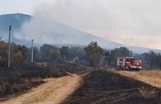 Пожарът край Отец Паисиево унищожи 10 000 декара земя
