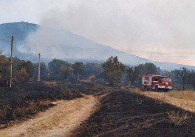 Потушиха пожара между селата Мало Крушево и Драгомир