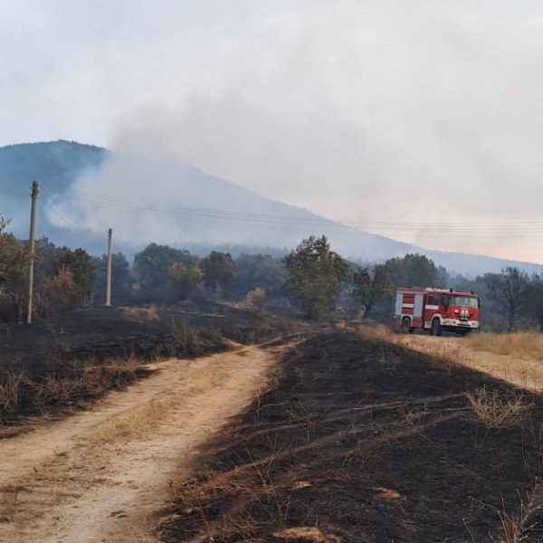 Потушиха пожара между селата Мало Крушево и Драгомир