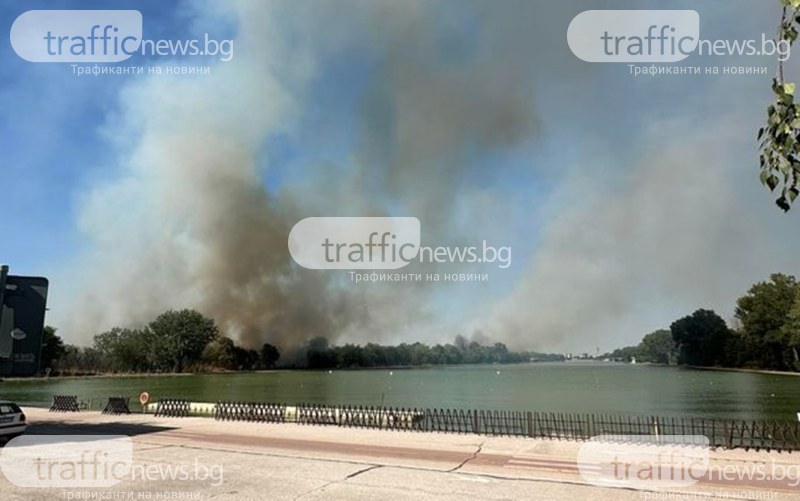 Голям пожар гори на Гребната база, пожарни са на мястото Голям пожар гори на Гребната база, пожарни са на мястото
