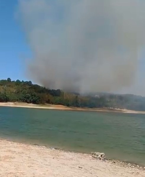 Пожар пламна в района на язовир край Асеновград