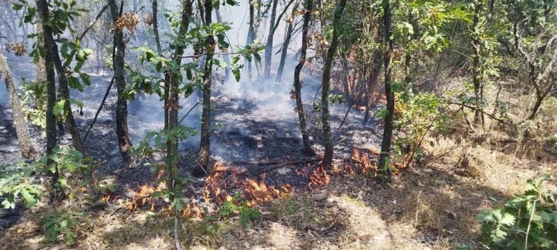 Какво е положението с пожарите в страната