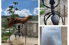 vazpitanik-hudozhestvenata-gimnaziia-489.jpg