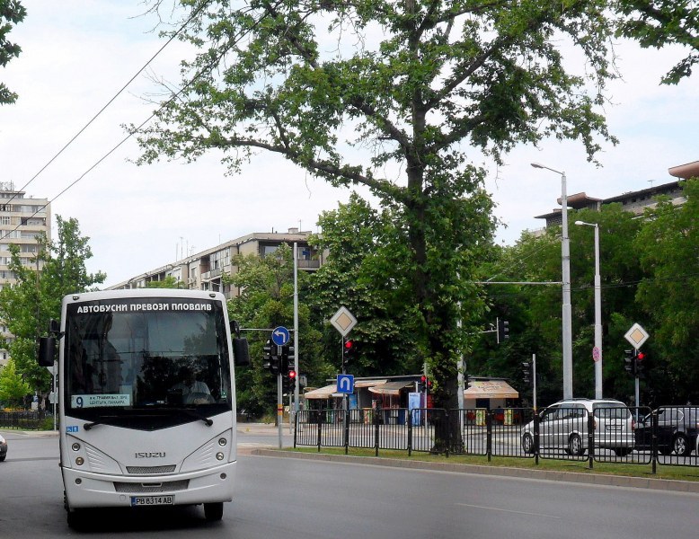 Влиза в сила временна мярка за транспорт на пътници по 8 автобусни линии