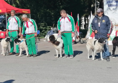 Екзотични животни и дефиле на породисти кучета радва пловдивчани в Панаира