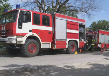 Пожар изпепели декари орехи в Цалапица