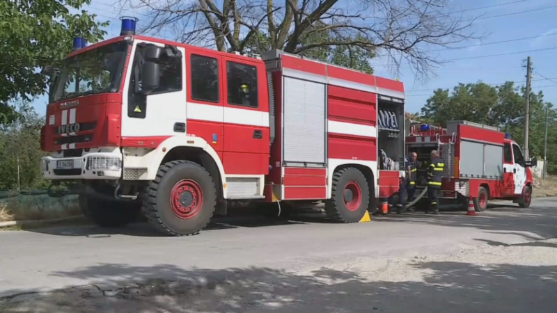 Пожар изпепели декари орехи в Цалапица