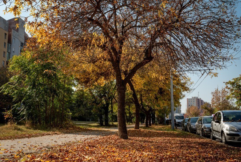 Слънчев есенен петък в Пловдив