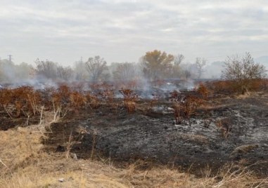 Обявено е бедствено положение в Катуница заради пожара, вземат нови мерки