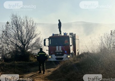 Локализираха пожара край Митницата в Пловдив