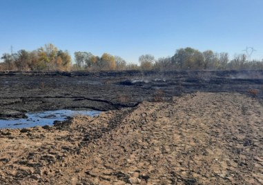 Въздухът в Пловдив и близките населени места се изчисти