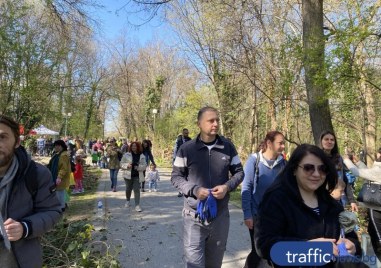 Включете се! “Мисия Лаута” 5 събира стотици доброволци утре