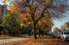 Четвъртък в Пловдив - предимно облачен, ветровит, може и да превали