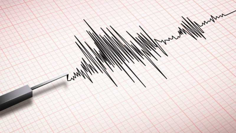Слабо земетресение е регистрирано у нас