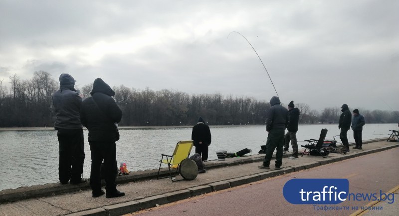 Риболов на Гребната преди Никулден! Пловдивчани разпънаха въдиците на шаран и бял амур ВИДЕО