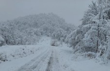 pozharnikari-asenovgrad-i-laki-095.jpg