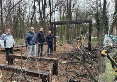 Разчистиха огромните паднали дървета и клони в Лаута, възстановяват фитнеса