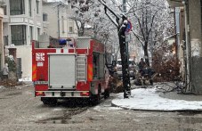 darvo-se-stovari-tsentara-plovdiv-975-601.jpg
