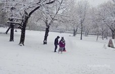 vazduhat-plovdiv-se-prochisti-427.jpg