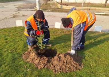 Рехабилитация на улиците в централната част на Ясно поле