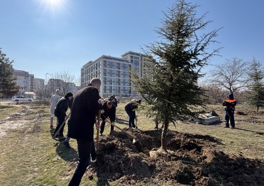 Започна пролетната залесителна кампания в Пловдив